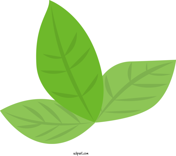 Free Nature Plant Stem Leaf Produce For Plant Clipart Transparent Background