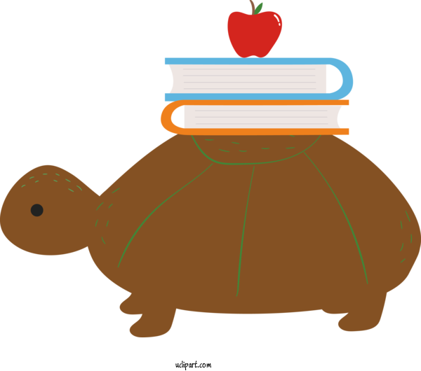 Free School Tortoise Tortoise M For Back To School Clipart Transparent Background
