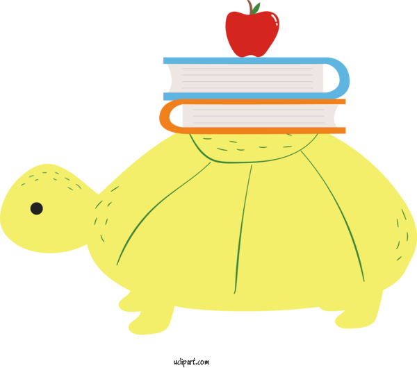 Free School Tortoise Turtles Frogs For Back To School Clipart Transparent Background