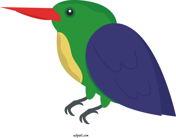 Free Animals Parrots Beak Green For Bird Clipart Transparent Background