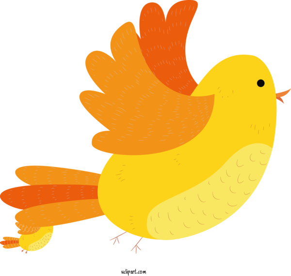 Free Animals Rooster Chicken Beak For Bird Clipart Transparent Background