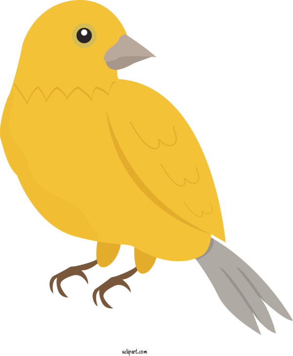 Free Animals Old World Orioles Beak Yellow For Bird Clipart Transparent Background
