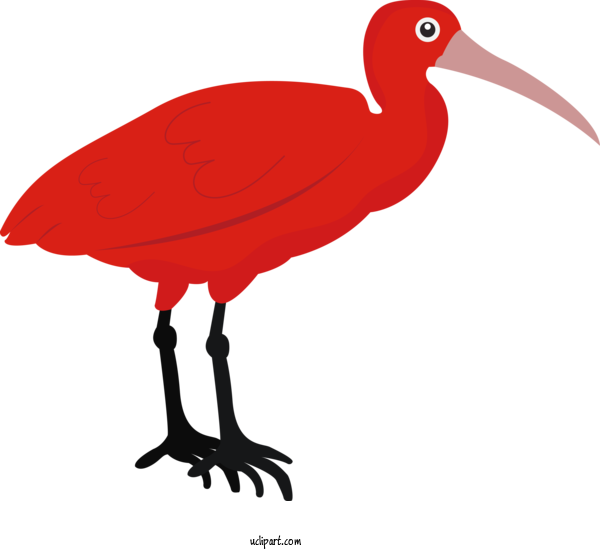 Free Animals Ibis Birds Crane For Bird Clipart Transparent Background