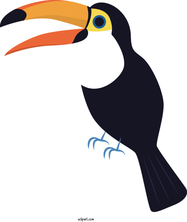 Free Animals Toucans Birds Cartoon For Bird Clipart Transparent Background