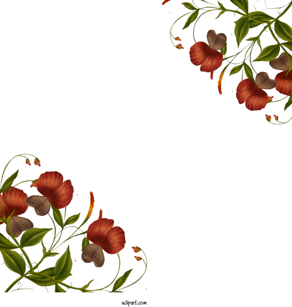 Free Nature Floral Design The Taming Of The Shrew Flower For Plant Clipart Transparent Background