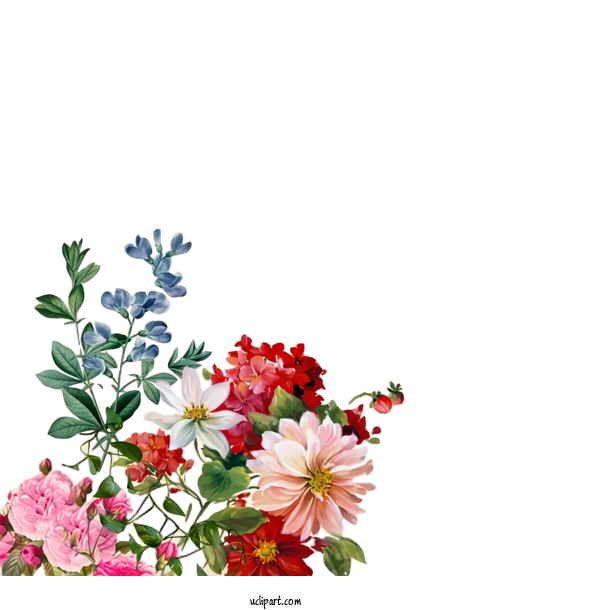 Free Nature Floral Design Flower Stock.xchng For Plant Clipart Transparent Background