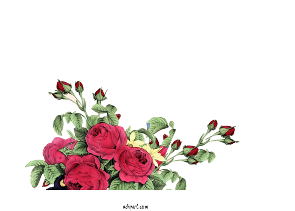Free Nature Flower Bouquet Flower Floral Design For Plant Clipart Transparent Background