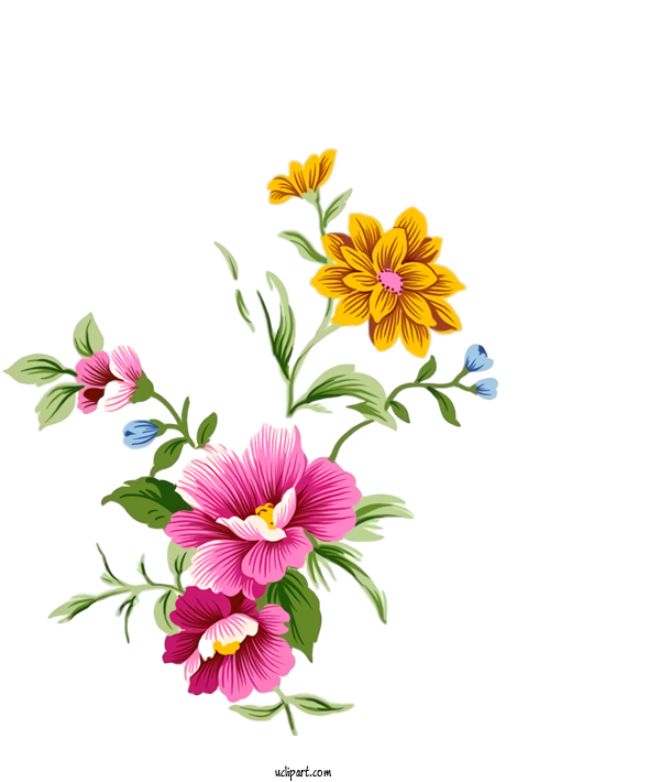 Free Nature Floral Design Watercolor Painting Flower For Plant Clipart Transparent Background