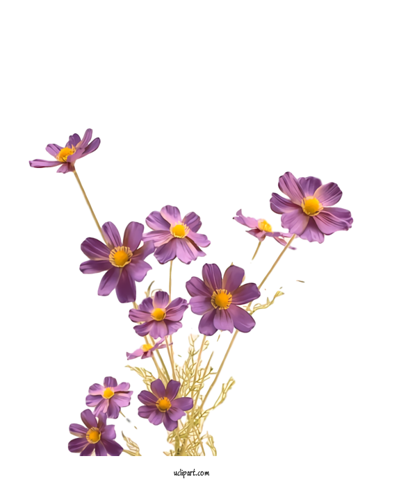 Free Nature Flower Floral Design Flower Bouquet For Plant Clipart Transparent Background