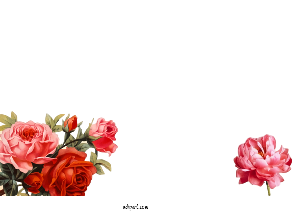 Free Nature Design Flower Bouquet Decoupage For Plant Clipart Transparent Background