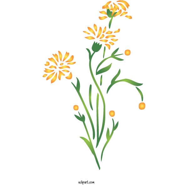Free Flowers Line Art Design Floral Design For Dandelion Clipart Transparent Background