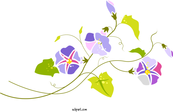 Free Flowers Design Adobe Photoshop For Morning Glory Clipart Transparent Background