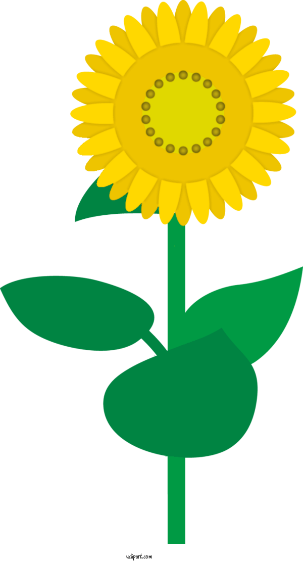 Free Flowers Raleigh Allen Tate Realtors For Sunflower Clipart Transparent Background