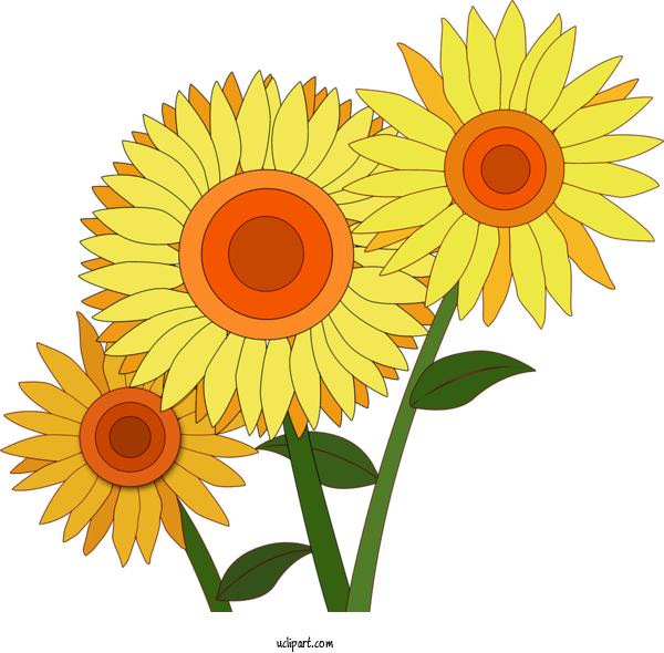 Free Flowers Common Sunflower Гребень ободок для волос 