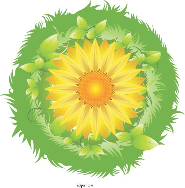 Free Flowers Logo Design Common Sunflower For Sunflower Clipart Transparent Background
