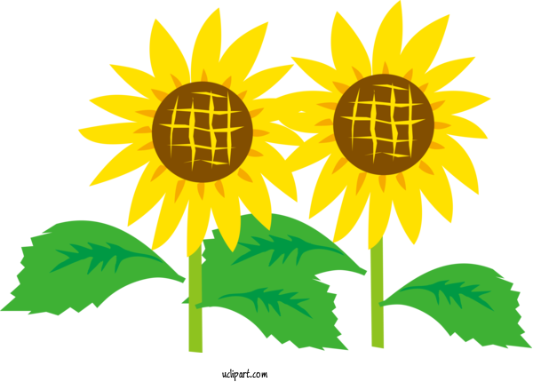 Free Flowers Horticulture 寄せ植え 宮子花園・花香房夢見草 For Sunflower Clipart Transparent Background