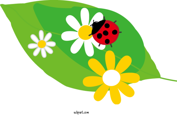 Free Nature Ladybird Beetle  Sunday For Spring Clipart Transparent Background