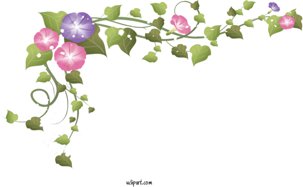 Free Flowers Wedding Invitation Floral Design Design For Morning Glory Clipart Transparent Background