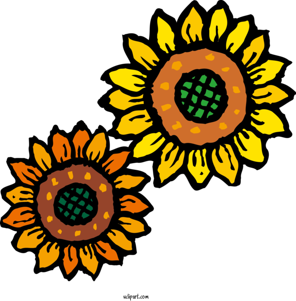 Free Flowers Common Sunflower Floral Design Cut Flowers For Sunflower Clipart Transparent Background