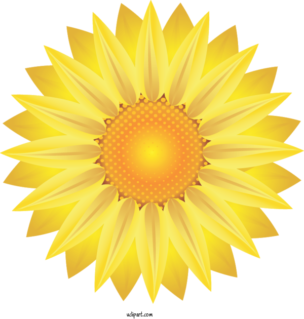 Free Flowers Design Royalty Free For Sunflower Clipart Transparent Background