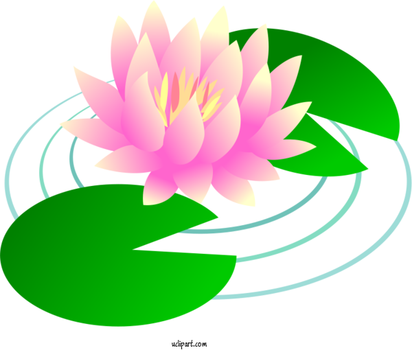 Free Flowers Design  Royalty Free For Lotus Flower Clipart Transparent Background