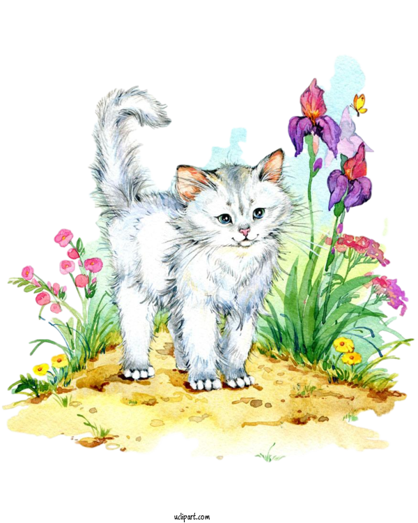 Free Animals Kitten Siamese Cat American Curl For Cat Clipart Transparent Background