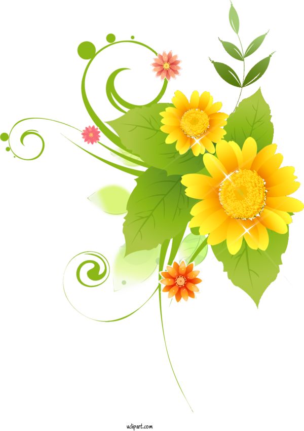 Free Flowers Flower Cut Flowers Yellow For Sunflower Clipart Transparent Background