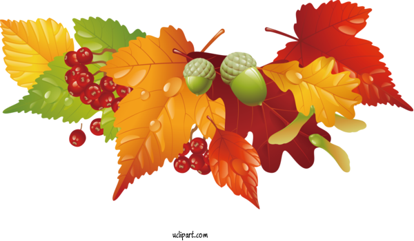 Free Nature Autumn Leaf Color Autumn Cartoon For Leaf Clipart Transparent Background