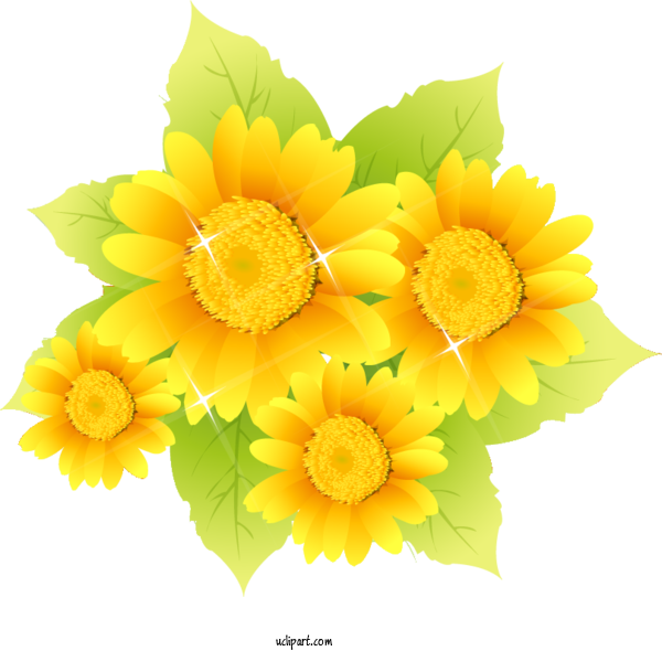 Free Flowers Floral Design Flower Bouquet Cut Flowers For Sunflower Clipart Transparent Background
