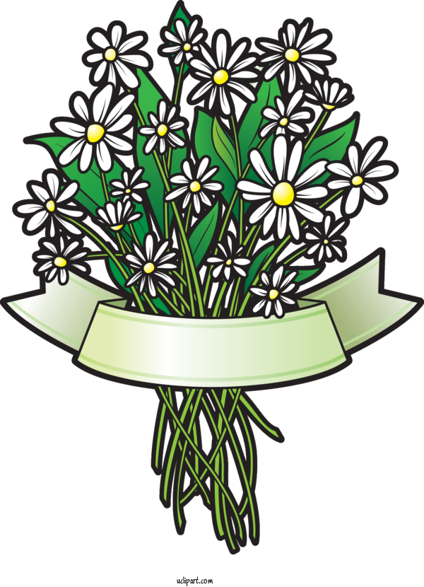 Free Flowers Floral Design Design Royalty Free For Marguerite Clipart Transparent Background