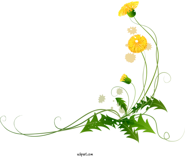 Free Flowers Floral Design Blog Design For Dandelion Clipart Transparent Background