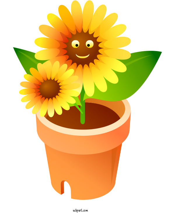 Free Flowers Common Sunflower Design Poster For Sunflower Clipart Transparent Background