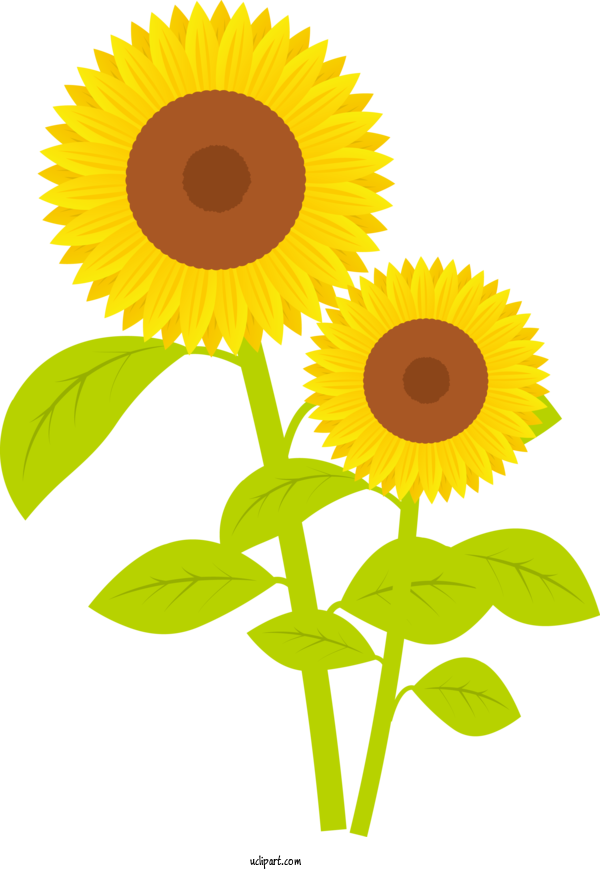 Free Flowers Screen Printing Company Rhode Island For Sunflower Clipart Transparent Background