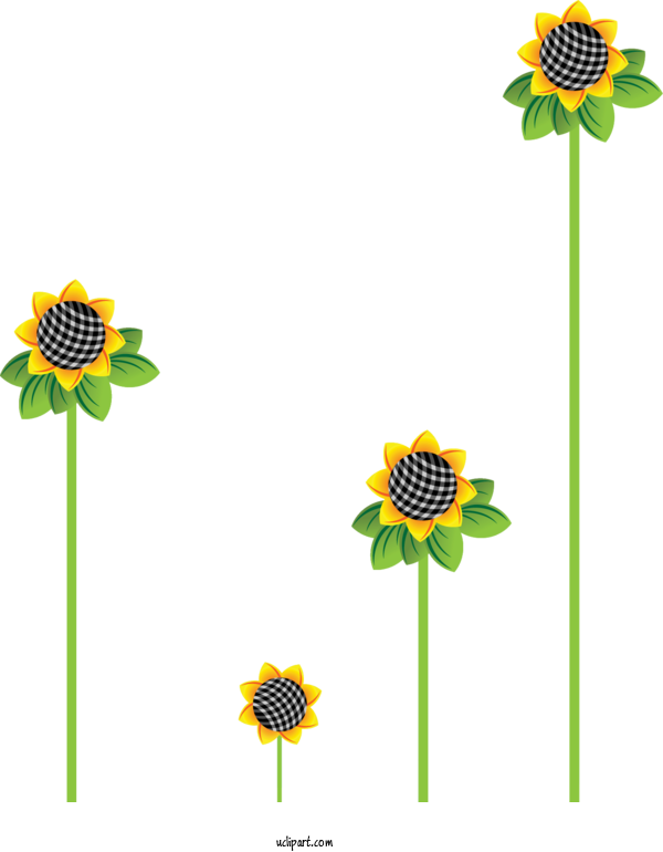 Free Flowers Common Sunflower Sunflower Seed Cartoon For Sunflower Clipart Transparent Background