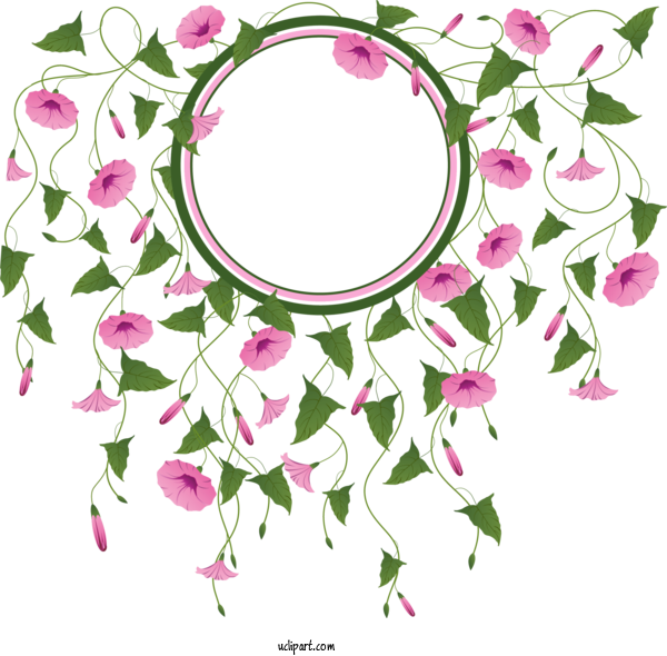 Free Flowers Japanese Morning Glory Design Composition For Morning Glory Clipart Transparent Background