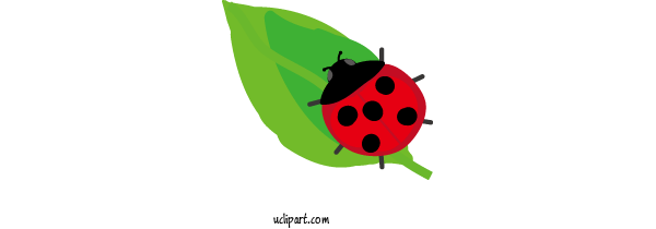 Free Nature Ladybird Beetle Beetles Green For Spring Clipart Transparent Background