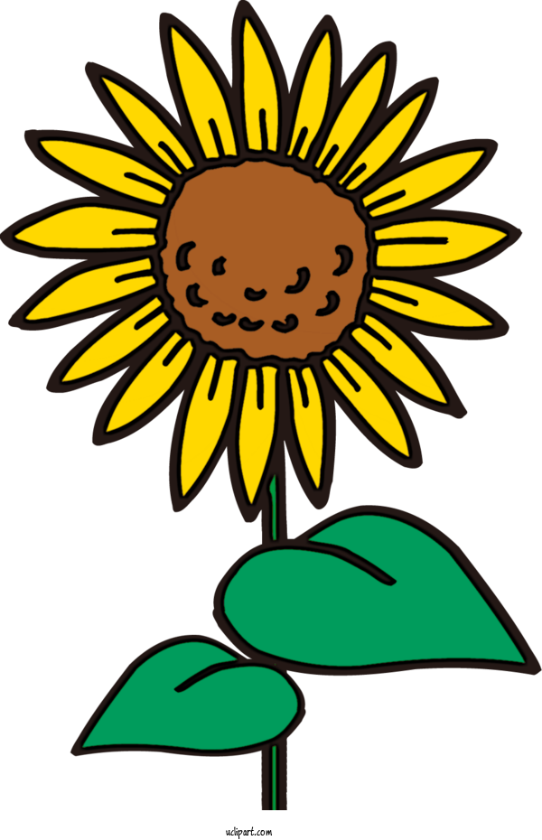 Free Flowers African Melancholia General Electric GE9X Drawing For Sunflower Clipart Transparent Background