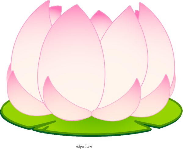 Free Flowers Petal Floral Design Design For Lotus Flower Clipart Transparent Background