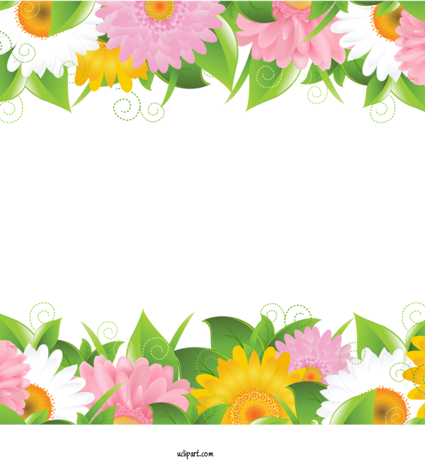 Free Flowers Flower Floral Design Leaf For Marguerite Clipart Transparent Background