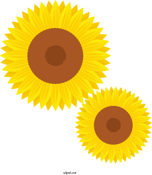 Free Flowers Family Policy Alliance Media For Sunflower Clipart Transparent Background