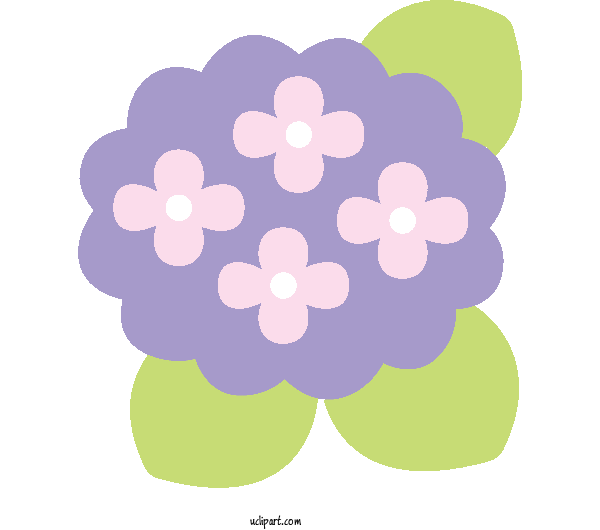 Free Flowers French Hydrangea Design Book Illustration For Hydrangea Clipart Transparent Background