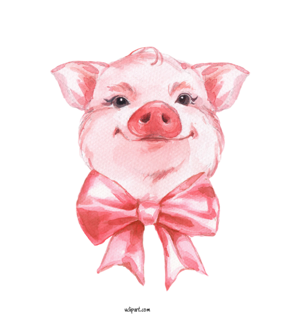 Free Animals Drawing Design For Pig Clipart Transparent Background