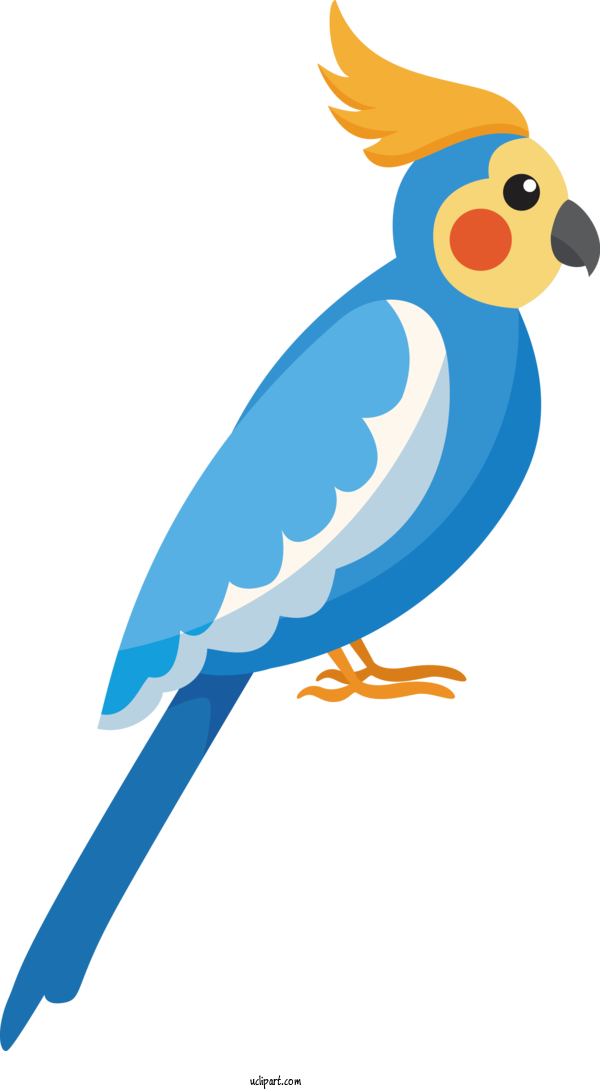Free Animals Macaw Parakeet だいちのこどもえん For Bird Clipart Transparent Background