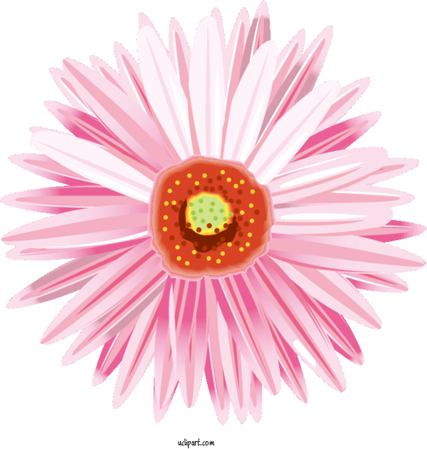 Free Flowers Be Music Source Blog Painting For Gerbera Clipart Transparent Background