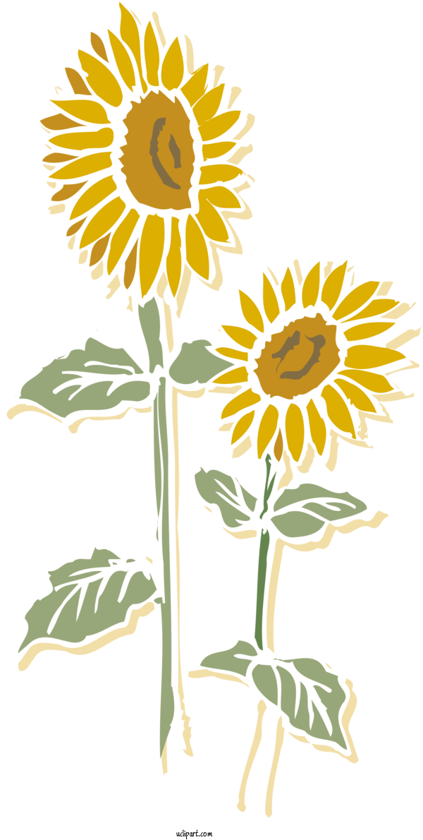 Free Flowers Cut Flowers Gift Card Gift Card For Sunflower Clipart Transparent Background