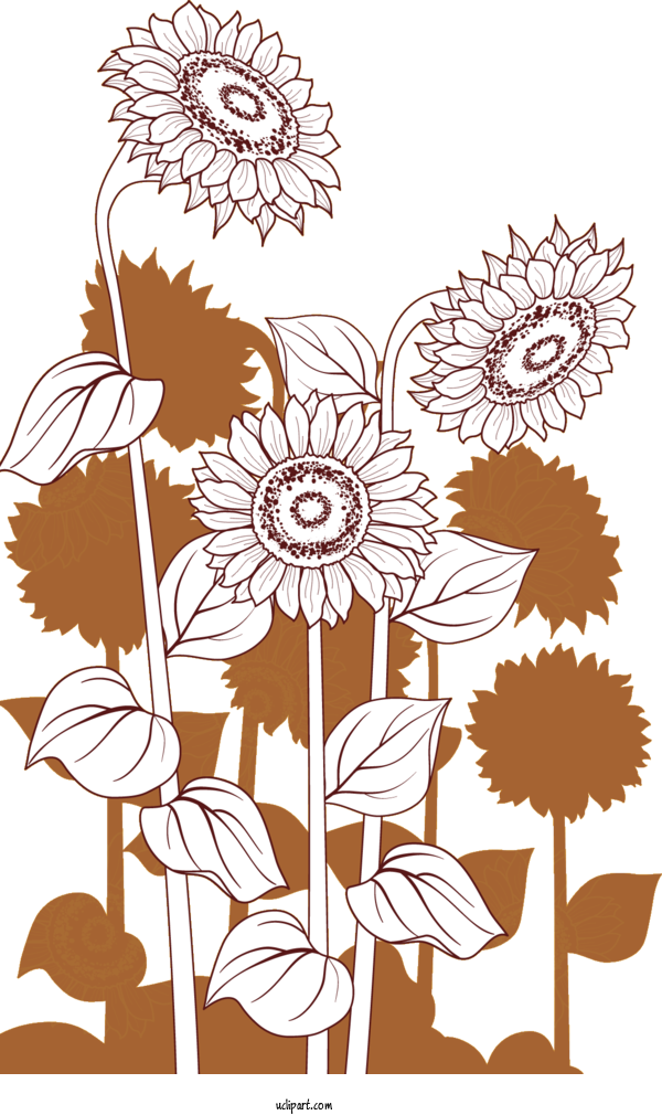 Free Flowers Floral Design Flower Design For Sunflower Clipart Transparent Background