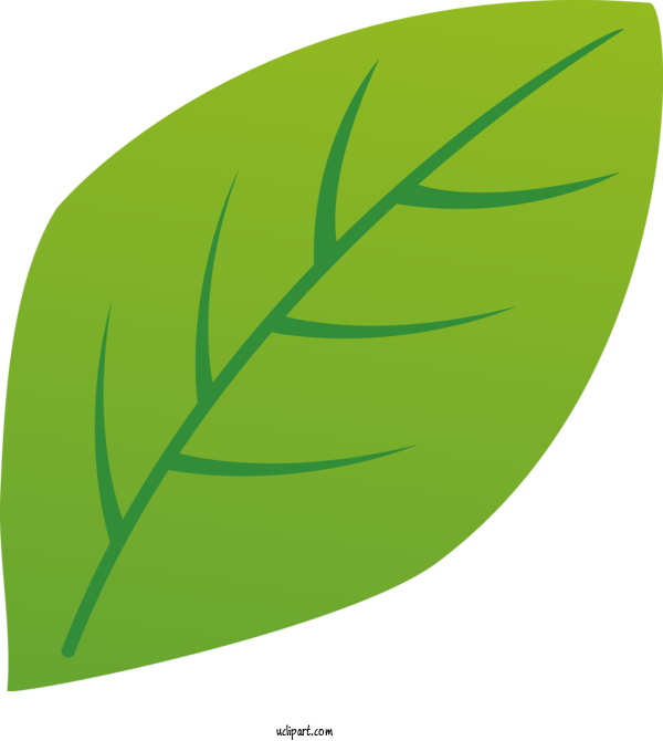 Free Nature Leaf Plant Stem Grasses For Leaf Clipart Transparent Background