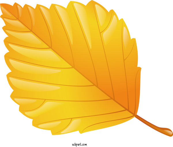 Free Nature Petal Leaf Yellow For Leaf Clipart Transparent Background