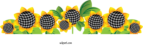 Free Flowers Common Sunflower Sunflower Seed Painting For Sunflower Clipart Transparent Background