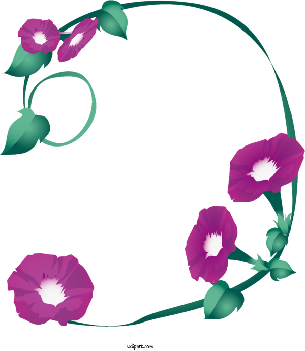 Free Flowers Cartoon Design Flower For Morning Glory Clipart Transparent Background